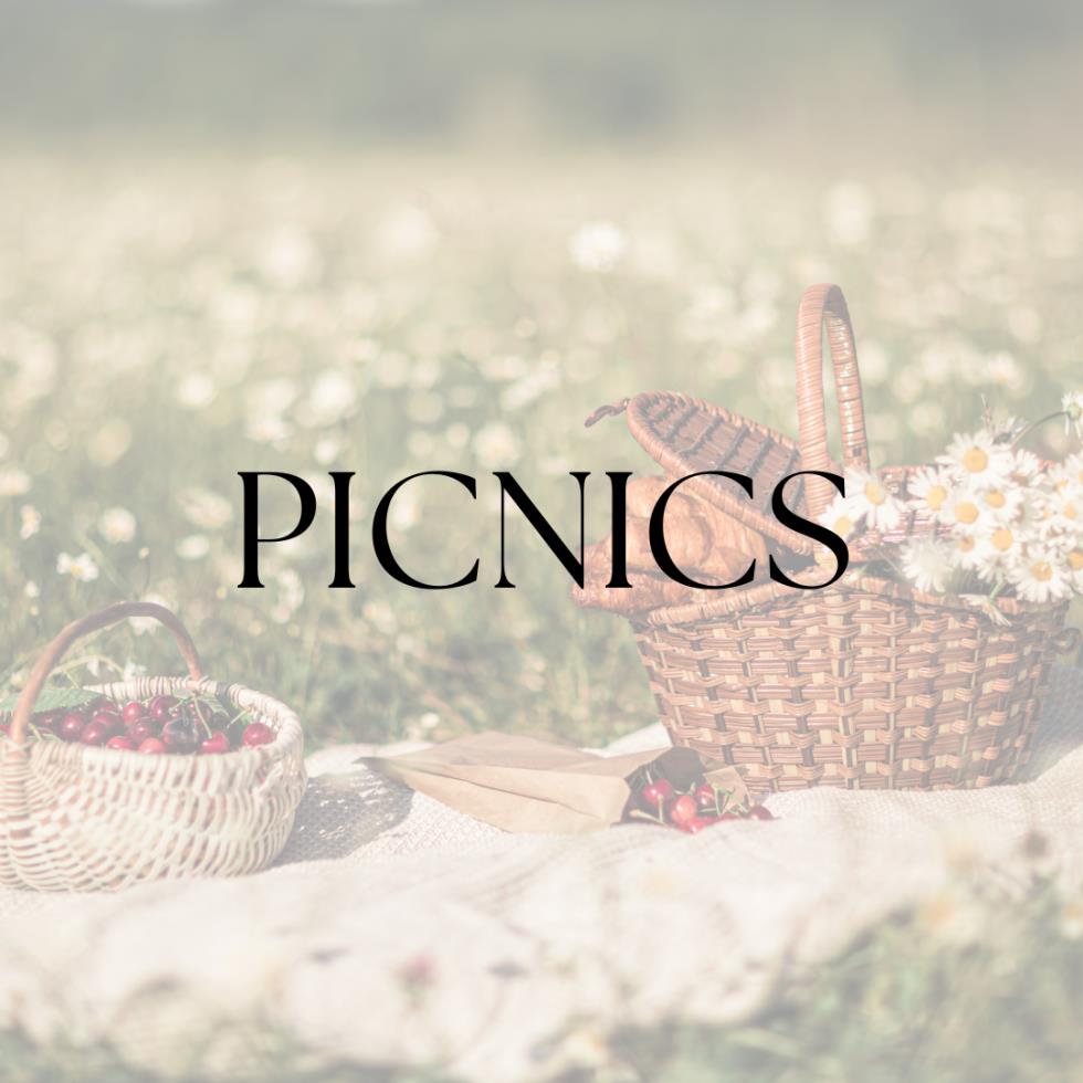 picnics